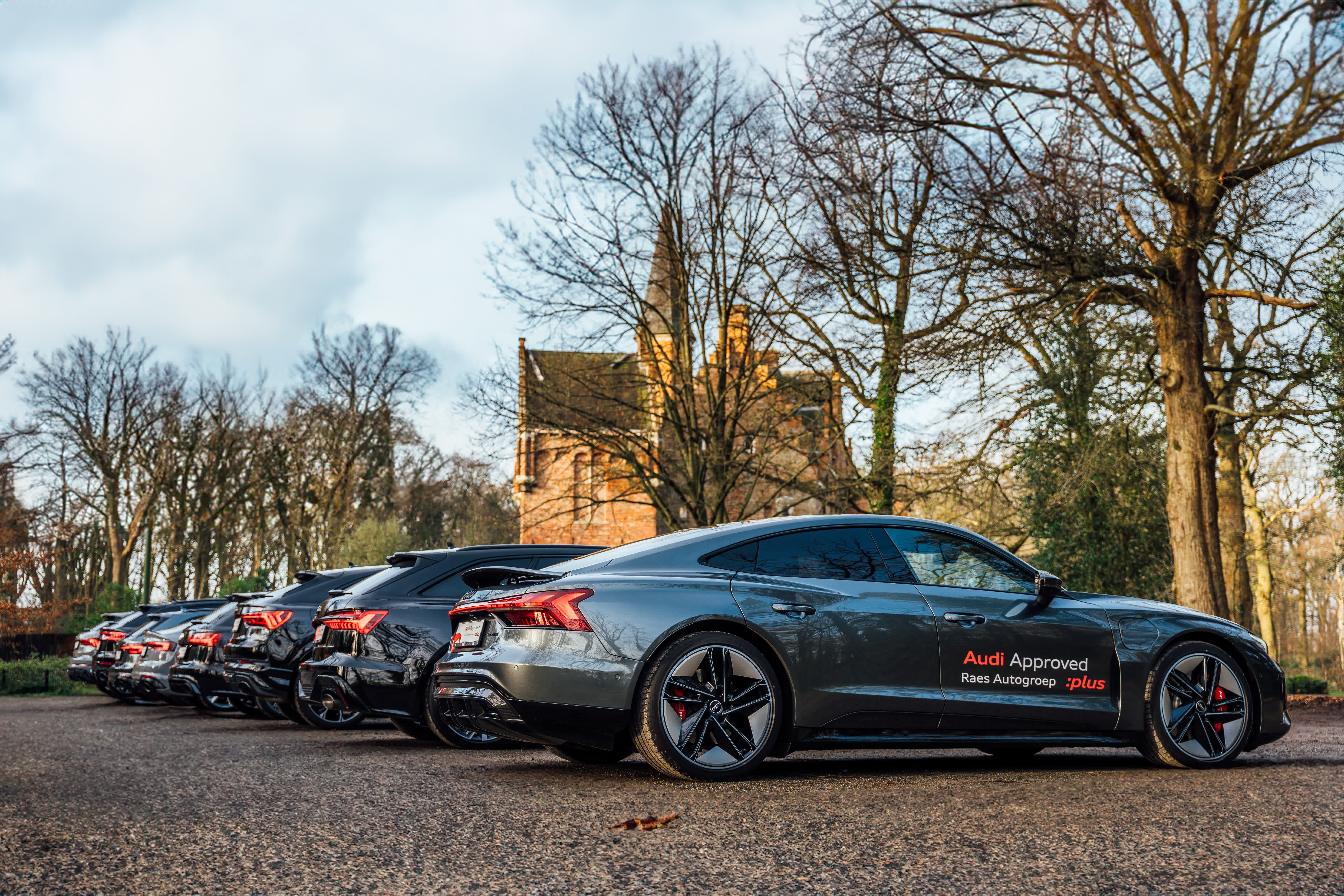 audi rs modellen op een rij naast elkaar